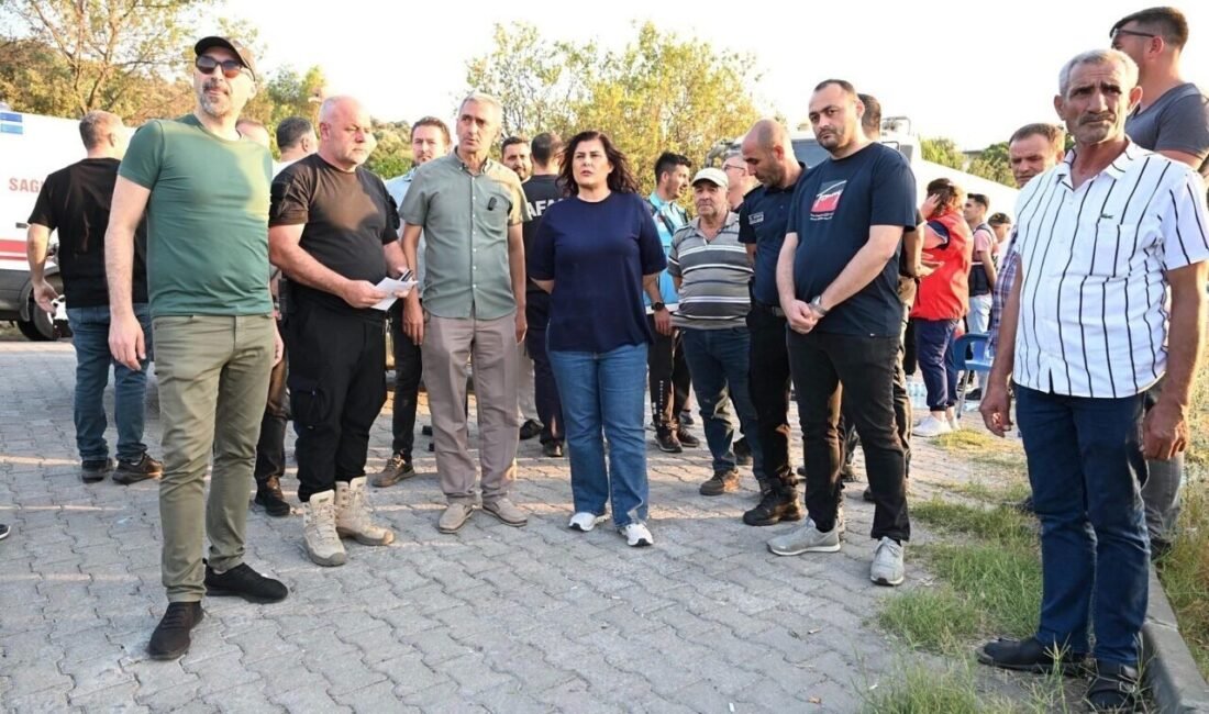 Aydın Büyükşehir Belediye Başkanı Özlem Çerçioğlu, Söke ilçesinde çıkan zirai