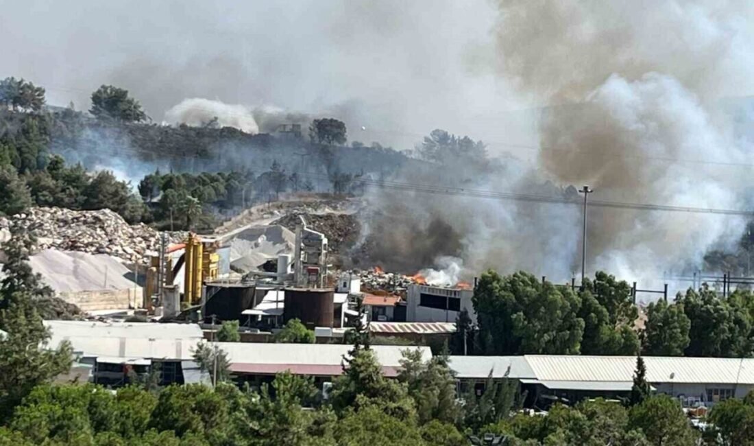Buca Gediz semtinde bulunan ilçe belediyelerin çöp depolama alanında çıkan