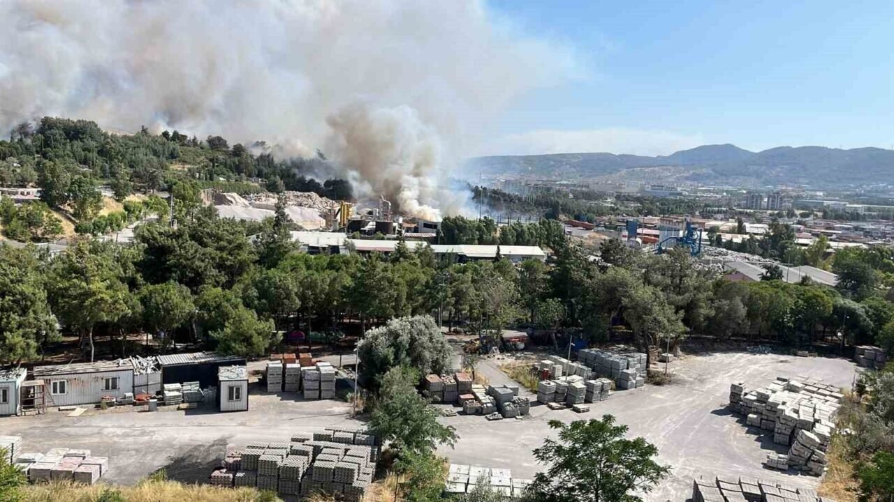 Belediyelerin çöpleri orman yangınına sebep oldu