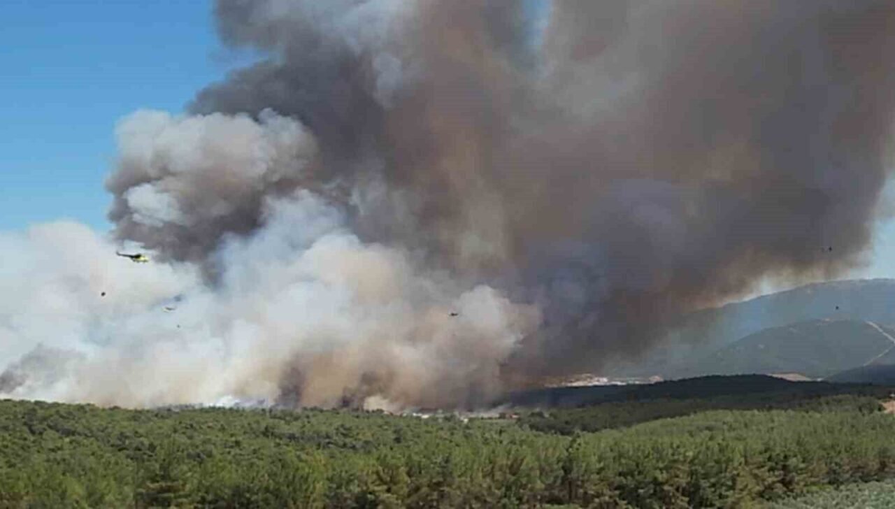 Bornova’daki yangın büyüdü; 8 uçak ve 17 helikopterle müdahale sürüyor Bornova’daki yangın büyüdü; 8 uçak ve 17 helikopterle müdahale sürüyor