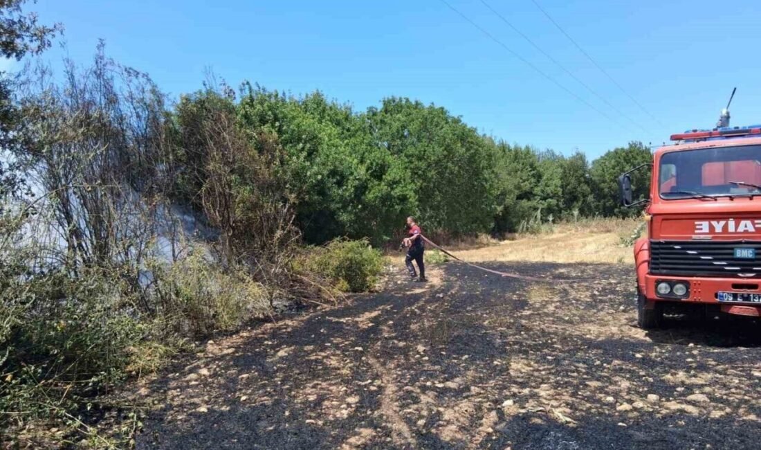 Bozdoğan Kılavuzlar Mahallesi’nde çıkan yangında incir ağaçları zarar gördü. Edinilen