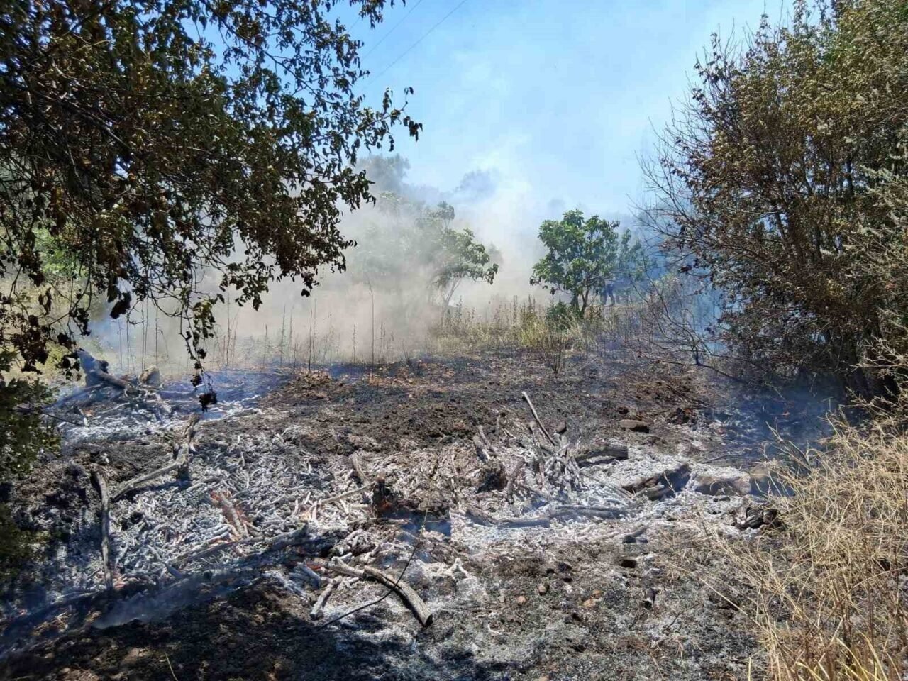 Bozdoğan’da arazi yangını