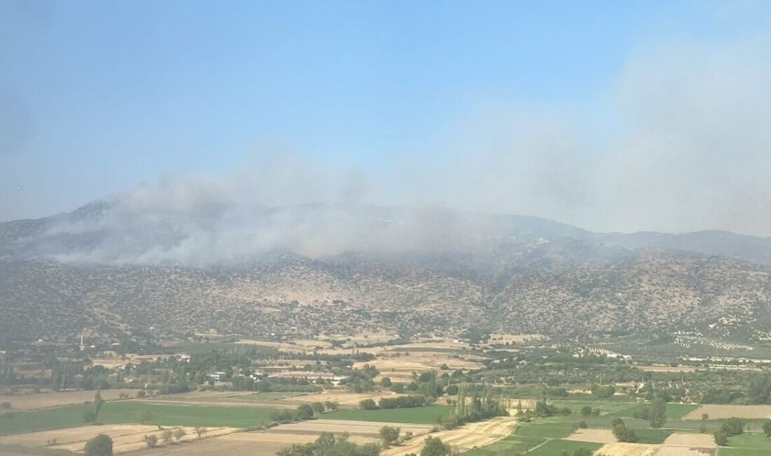 Aydın’ın Bozdoğan ilçesinde makilik alanda yangın çıktı. Edinilen bilgiye göre,