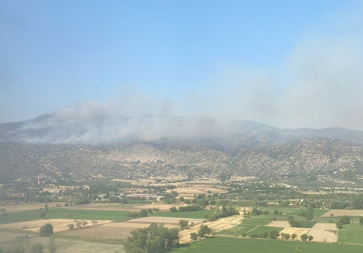 Bozdoğan’da makilik yangını