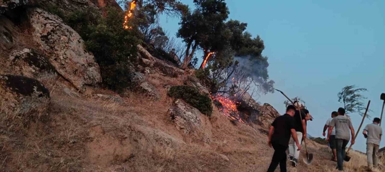 Bozdoğan’da makilik yangınına yoğun müdahale
