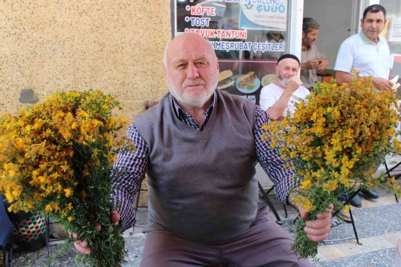 Bu çiçek hediye için değil sağlık için alınıyor