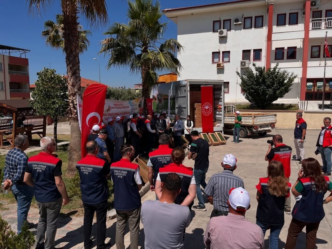 Buharkent’te domates fideleri üreticilere teslim edildi