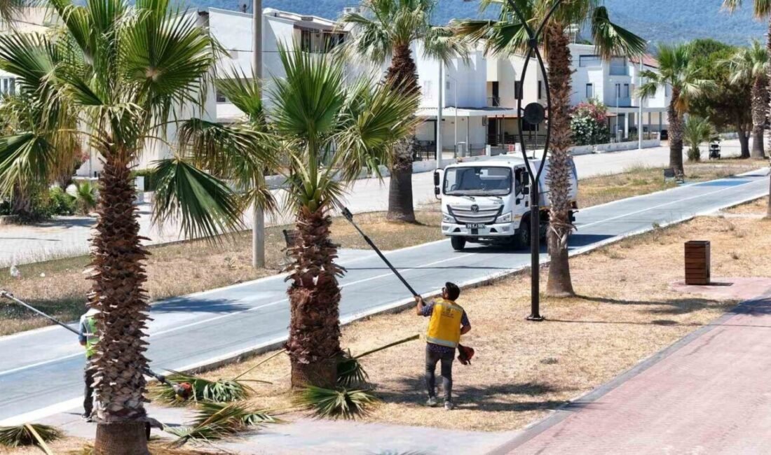 Aydın Büyükşehir Belediye Başkanı Özlem Çerçioğlu’nun önderliğinde Büyükşehir Belediyesi tarafından
