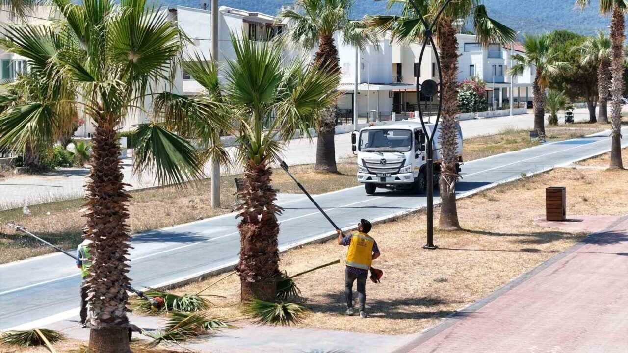 Büyükşehir Belediyesi’nden Davutlar ve Güzelçamlı’da kapsamlı çalışma Büyükşehir Belediyesi’nden Davutlar ve Güzelçamlı’da kapsamlı çalışma