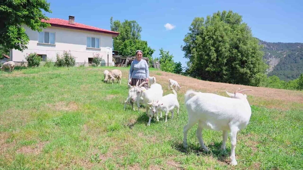 Çameli, Türkiye’nin 29, dünyanın 307’inci Sakin Şehri oldu