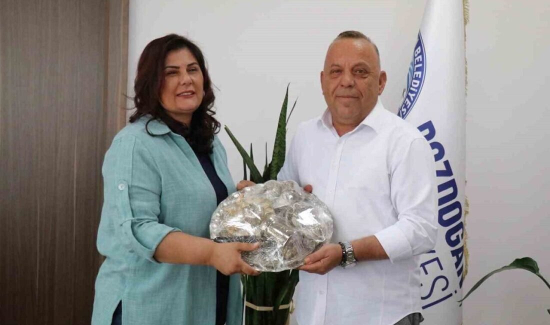Cumhuriyet Halk Partisi Aydın İl Başkanı Hikmet Saatçı, Aydın Büyükşehir