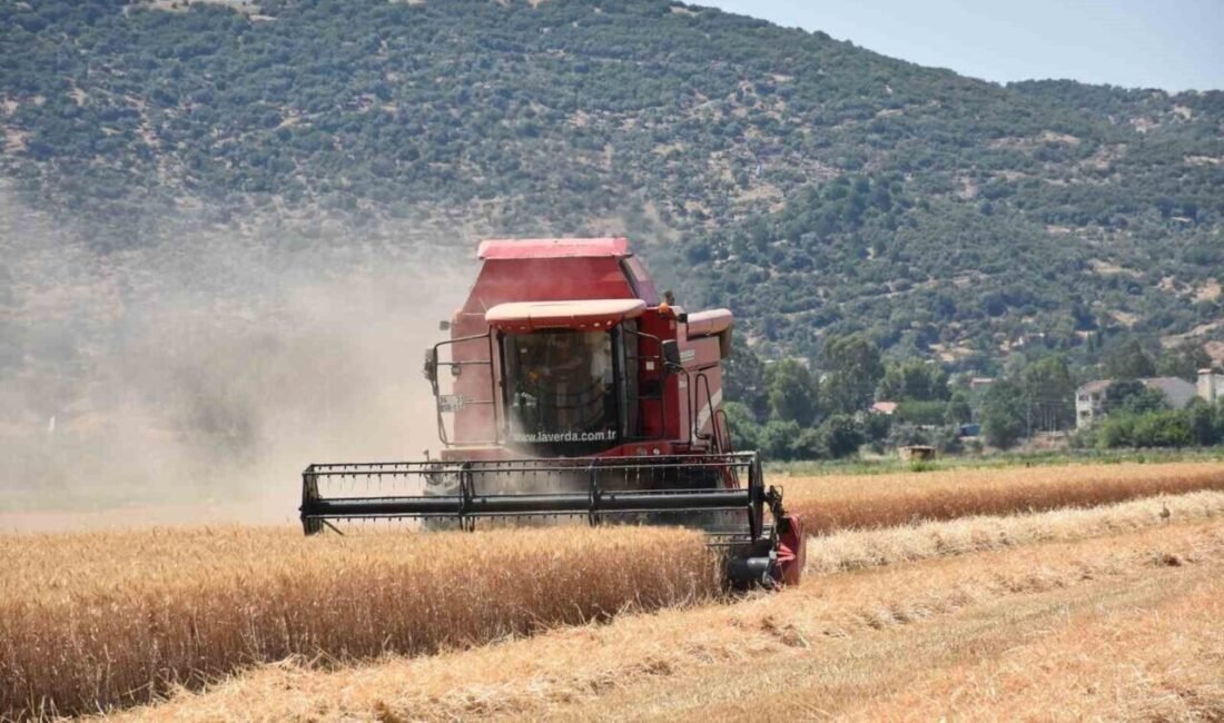 Aydın’ın İncirliova ilçesine bağlı Sınırteke Mahallesi’nde 15 yıldır çiftçilik yapan