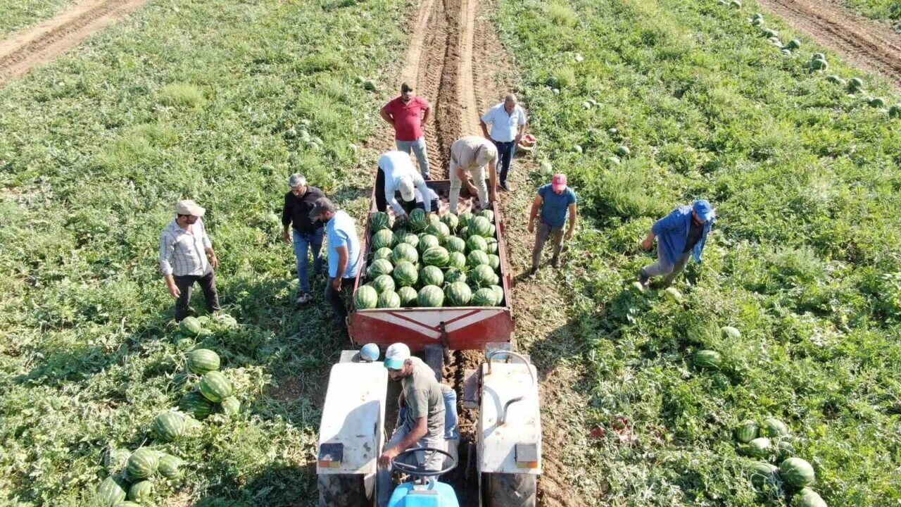 Çukurova’dan sonra Türkiye’nin gözü burada