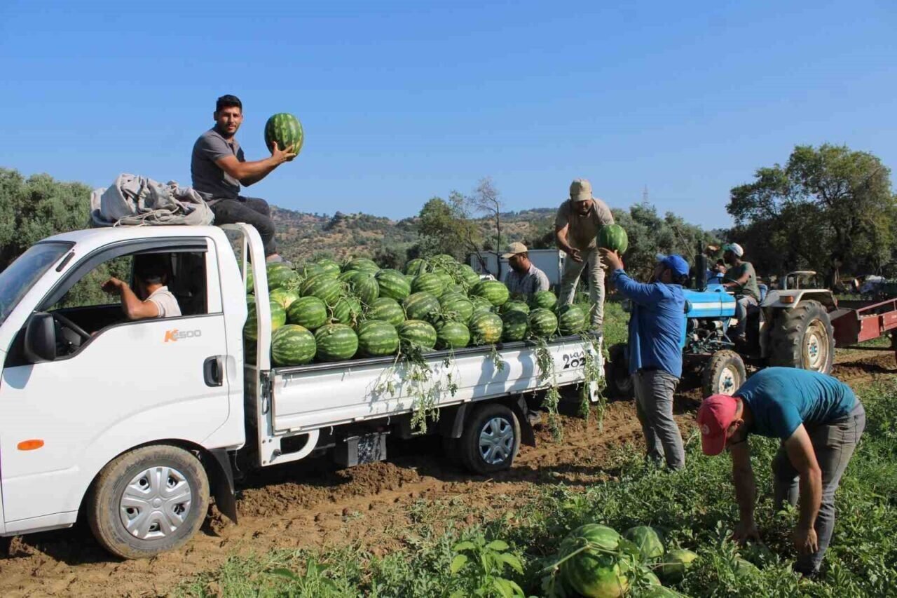 Çukurova’dan sonra Türkiye’nin gözü burada