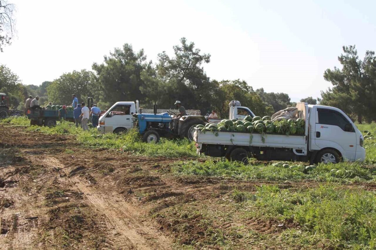 Çukurova’dan sonra Türkiye’nin gözü burada