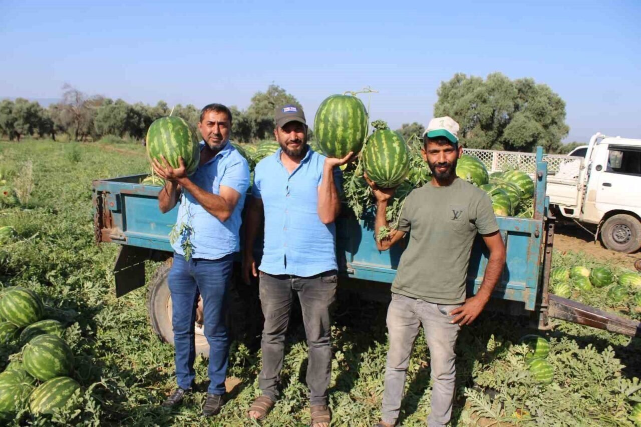 Çukurova’dan sonra Türkiye’nin gözü burada