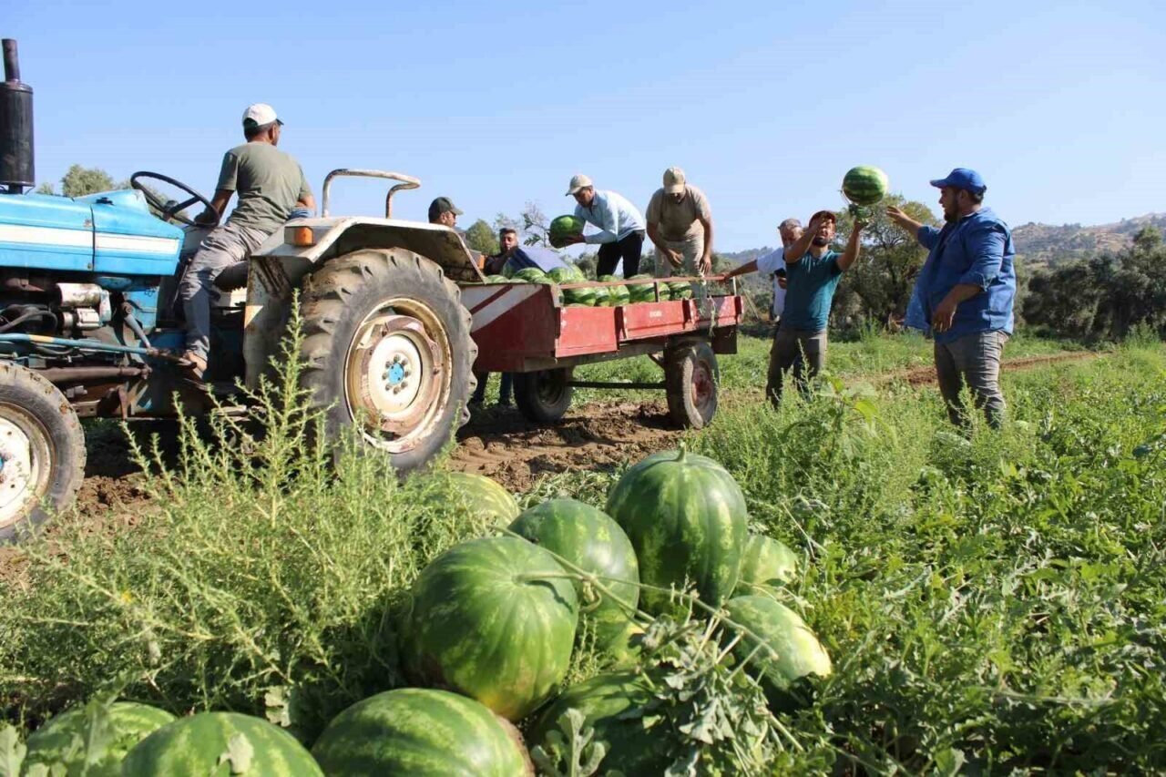 Çukurova’dan sonra Türkiye’nin gözü burada