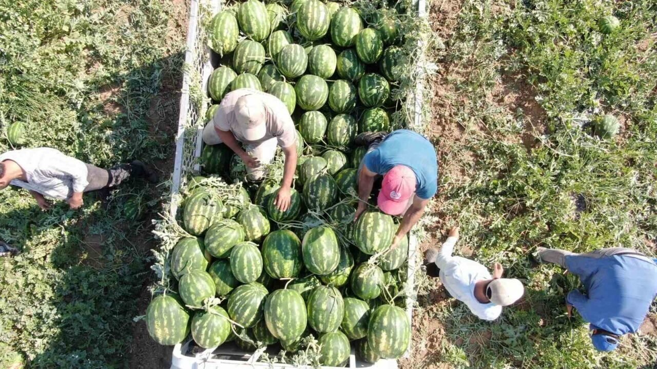 Çukurova’dan sonra Türkiye’nin gözü burada