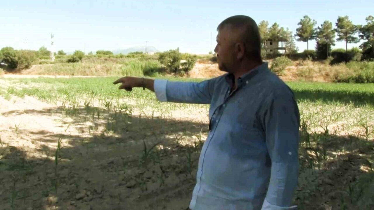 Denizli DESKİ’den su kullanan çiftçinin 5 bin dönüme ektiği mahsulleri kurudu