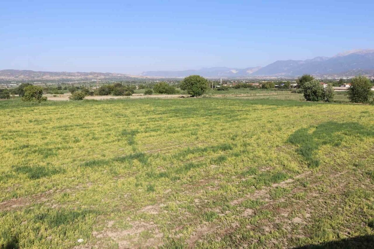 Denizli DESKİ’den su kullanan çiftçinin 5 bin dönüme ektiği mahsulleri kurudu