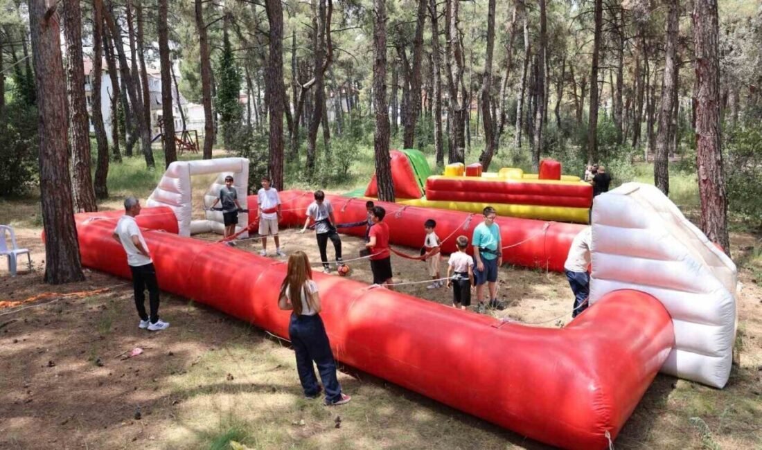 Denizli Organize Sanayi Bölgesi Müdürlüğü, Denizli OSB Yönetim Kurulu’nun öncülüğünde