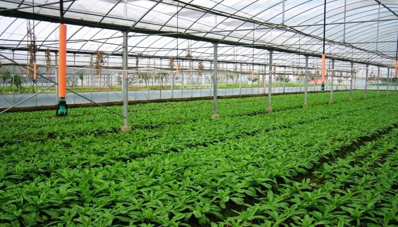 Denizli tarımına 87.4 milyonluk destek
