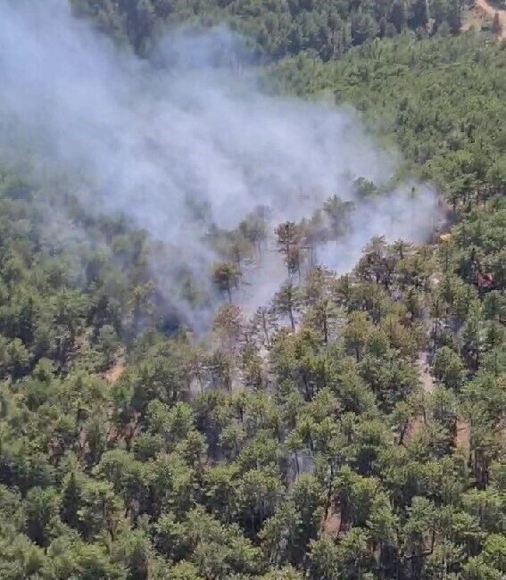 Denizli’nin Çivril ilçesinde başlayan orman yangını havadan ve karadan müdahale