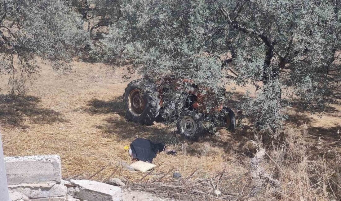 Aydın’ın Kuşadası ilçesinde, yokuş aşağı inerken devrilen traktörün altında kalan