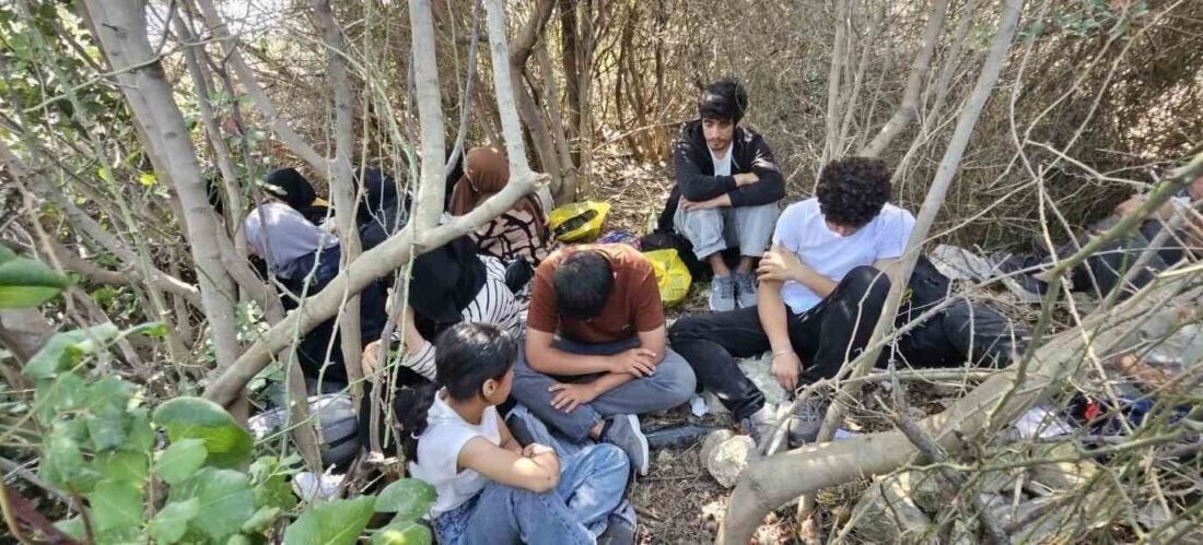Aydın’ın Didim ilçesinde makilik alana saklanan 17 düzensiz göçmen jandarma