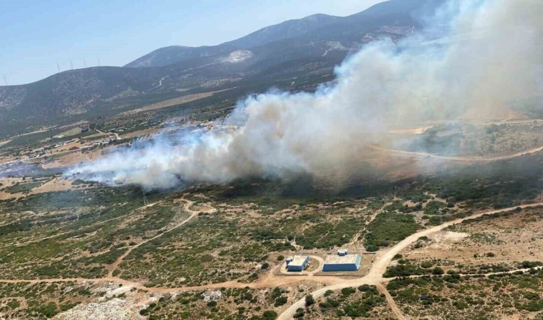 Aydın’ın Didim ilçesinde makilik alanda çıkan yangına ekiplerin havadan ve
