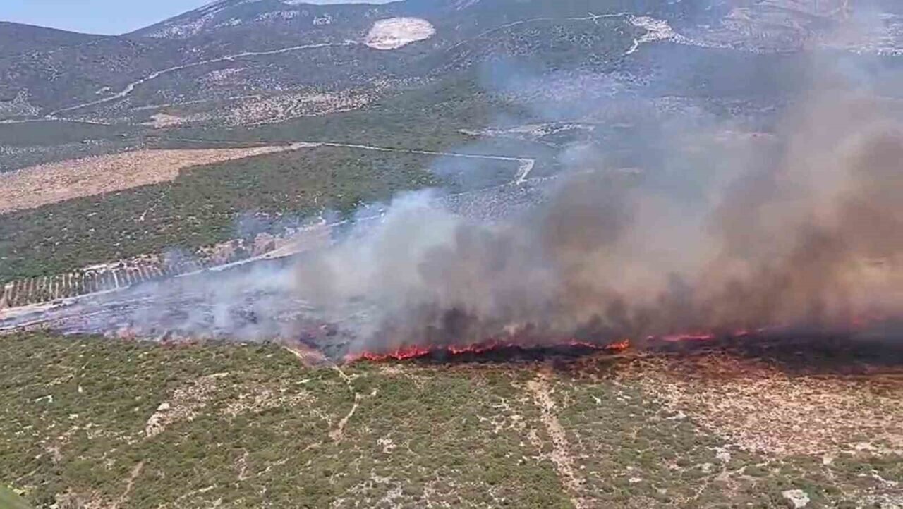 Didim’de makilik yangını