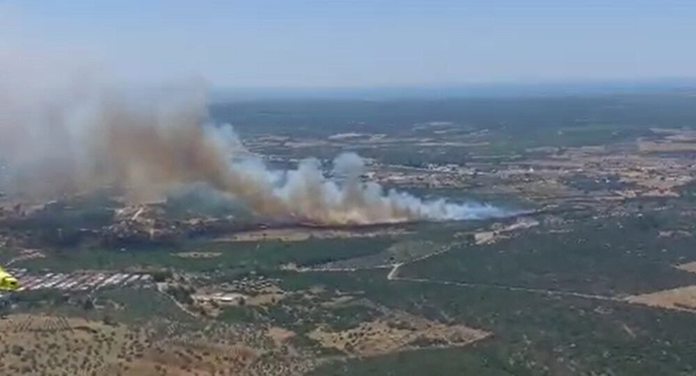 Didim’de makilik yangını