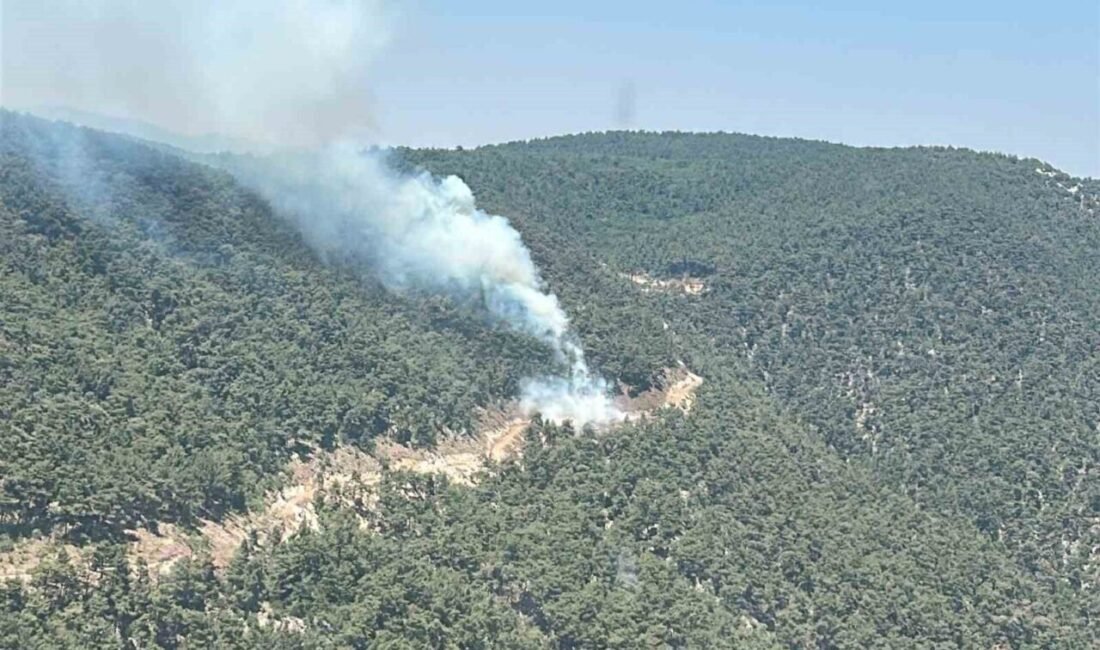 Manisa’da ormanlık alanda başlayan yangın ekiplerin yoğun çalışmasıyla kontrol altına