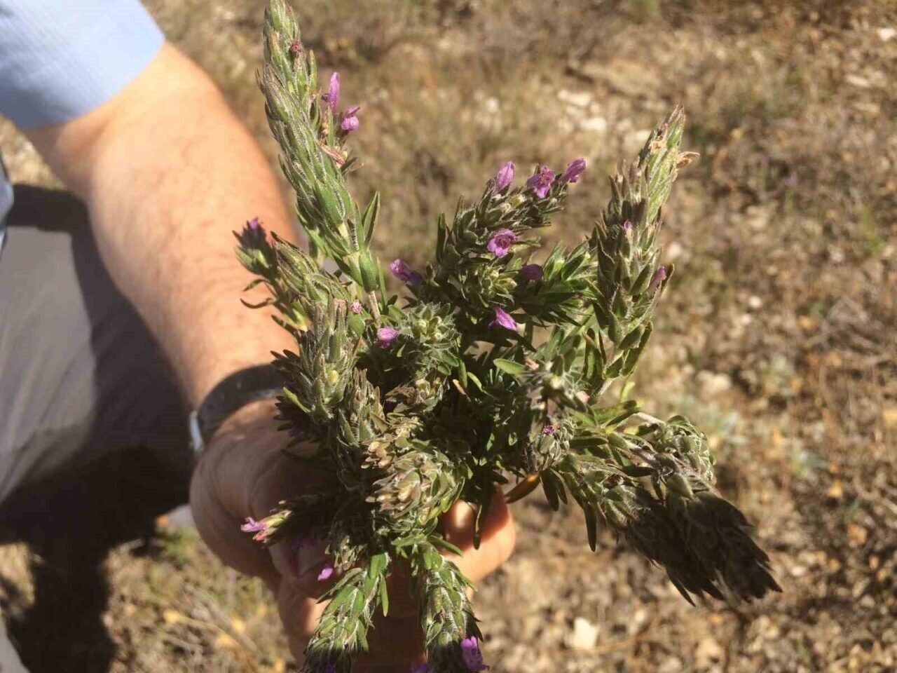 Evinin bir odasını labaratuvar haline getirdi, araştırmalarına ara vermedi
