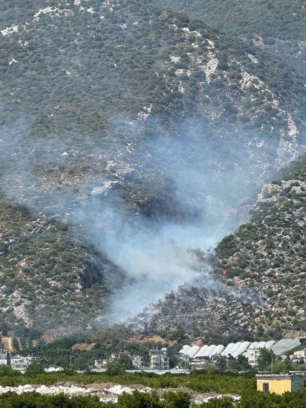 Finike’de orman yangını