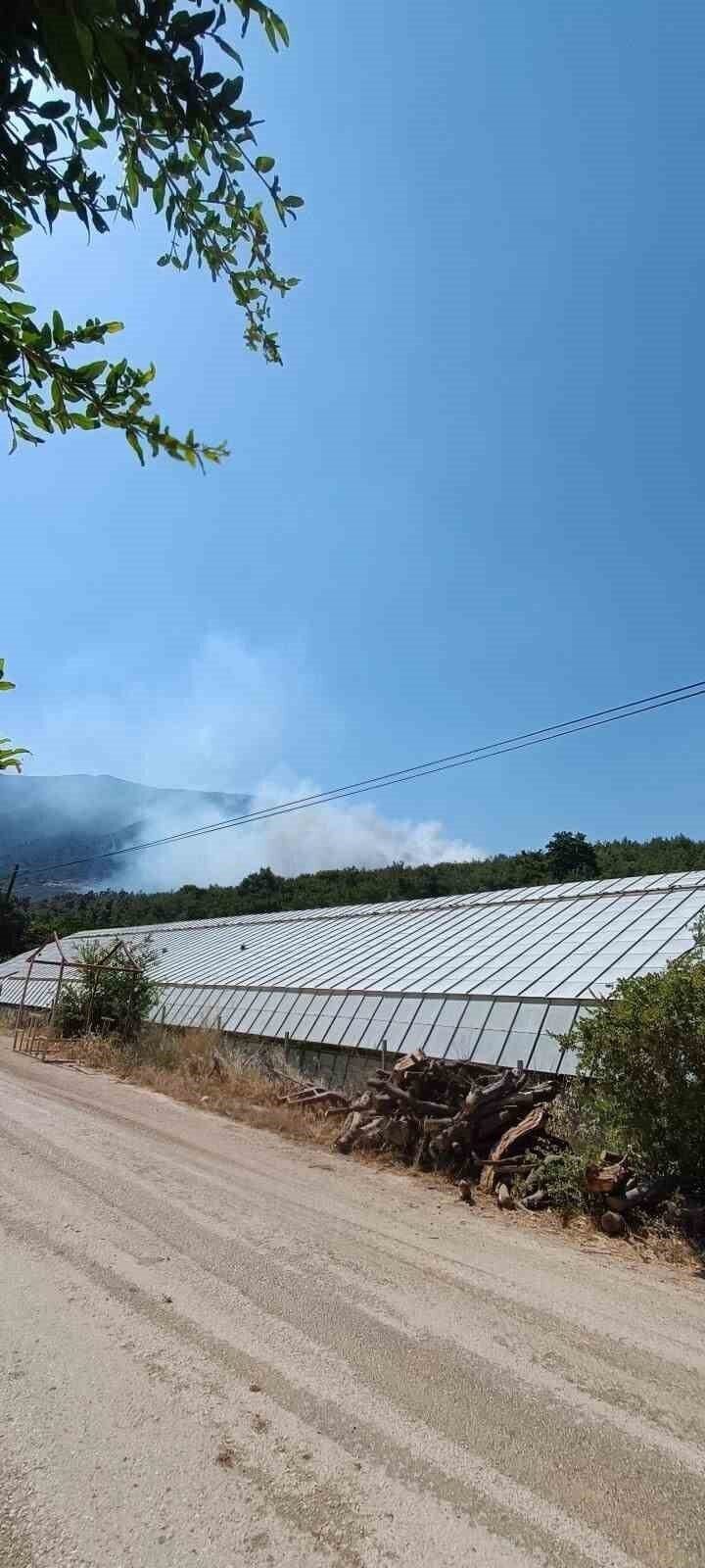 Finike’de orman yangını