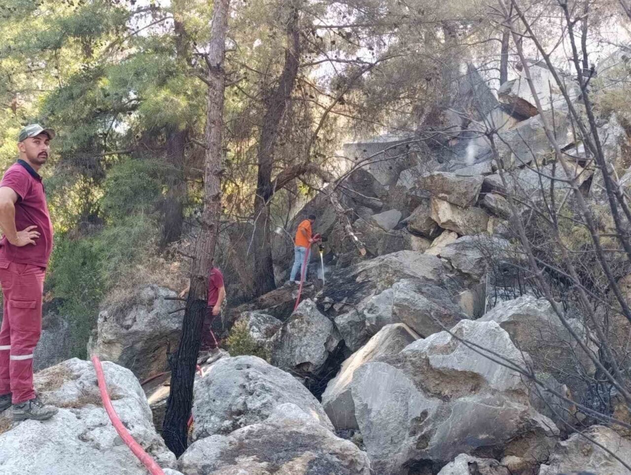 Finike’deki orman yangını kontrol altına alındı
