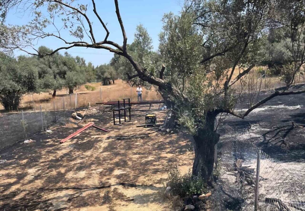 Foça’da ormanlık alanda çıkan yangın kontrol altında