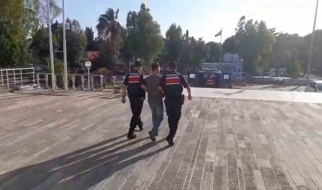 Foça’daki orman yangınıyla ilgili 1 tutuklama İzmir’in Foça ilçesinde 14 Haziran’da çıkan orman yangınıyla ilgili gözaltına