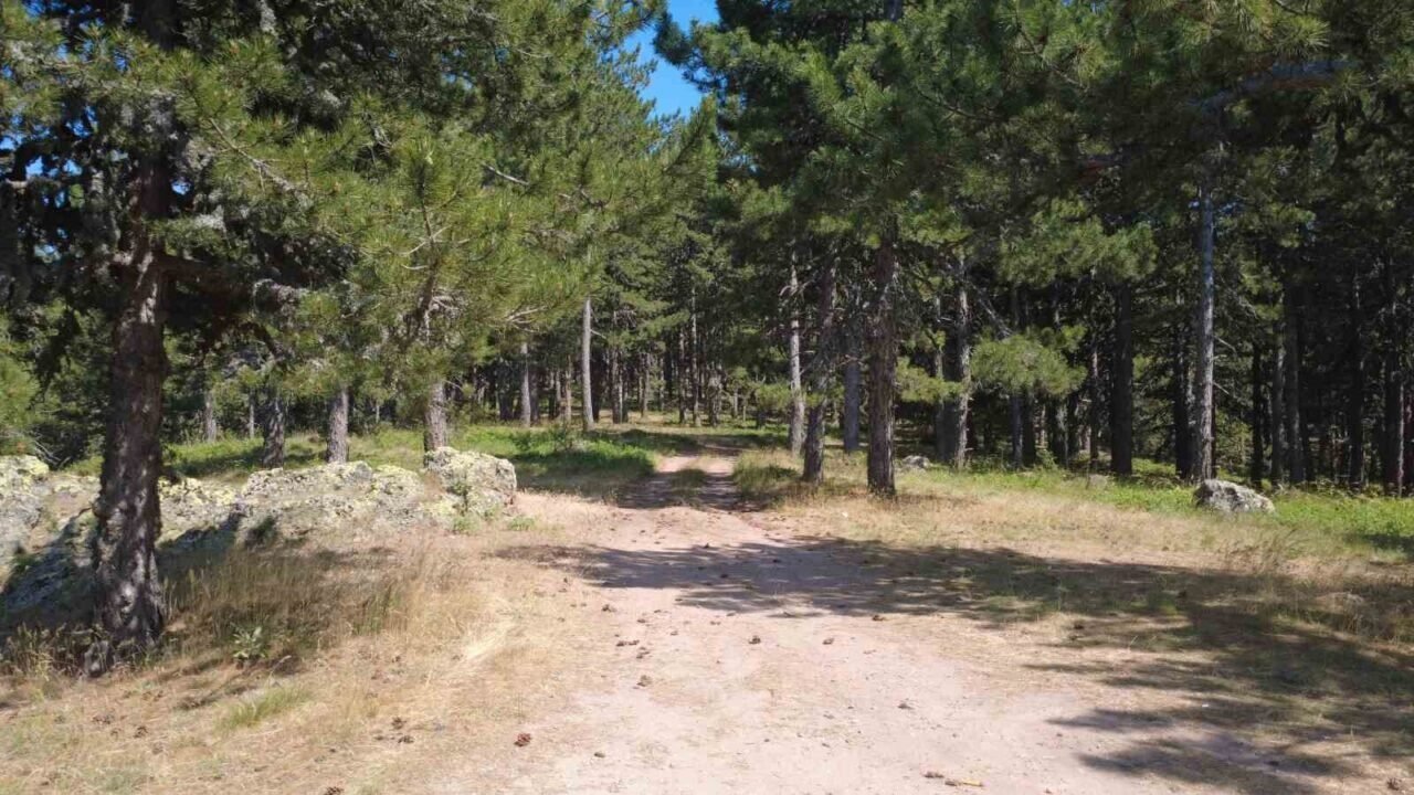 Gelin Uçtu Tabiat Parkı tescillendi