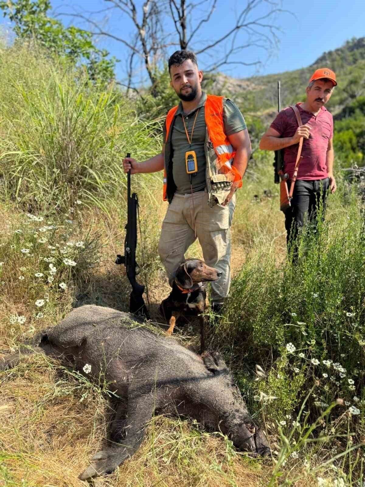 Gündoğmuş’ta domuz sürek avı düzenlendi