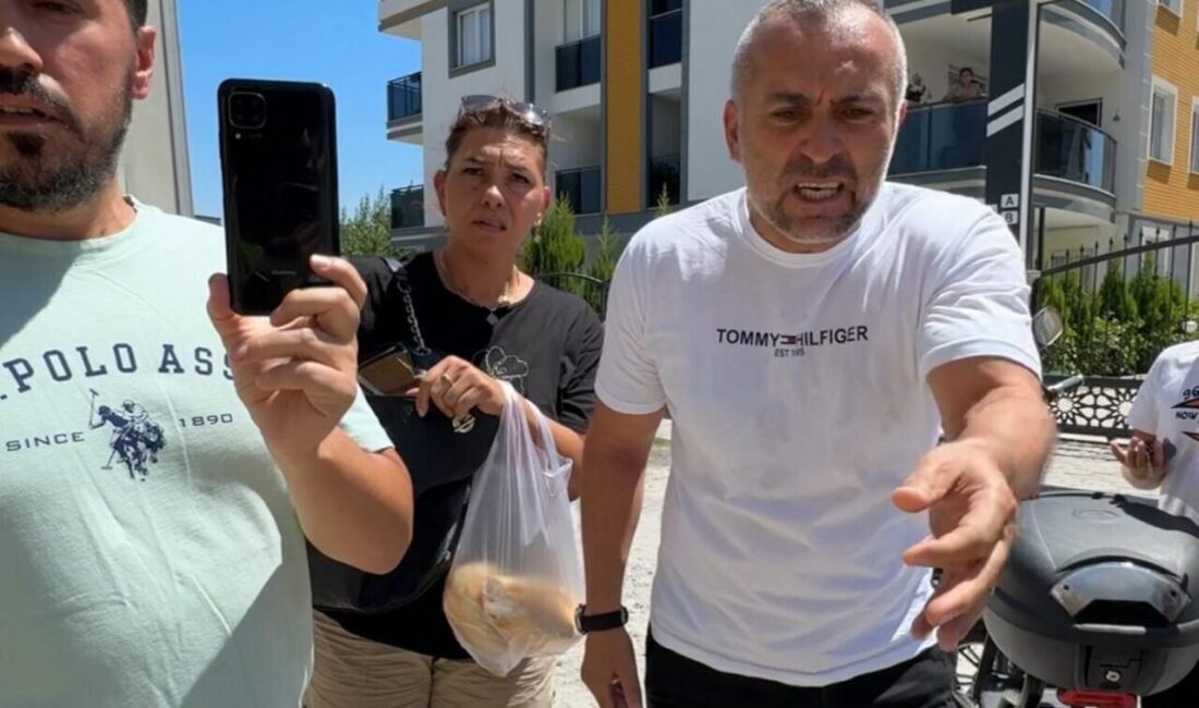 Aydın Efeler İlçesi Ata Mahallesi Yeni Yaşam Sitelerinde meydana gelen