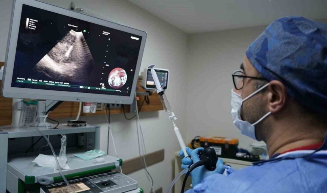 İzmir Ekonomi Üniversitesi Medical Point Hastanesi bünyesinde hizmet veren Akciğer