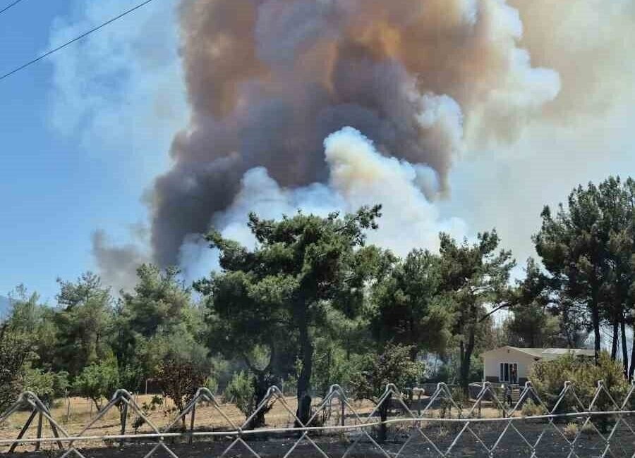 İzmir’in Bornova ilçesindeki ziraat arazisinde başlayan daha sonra ormanlık alana