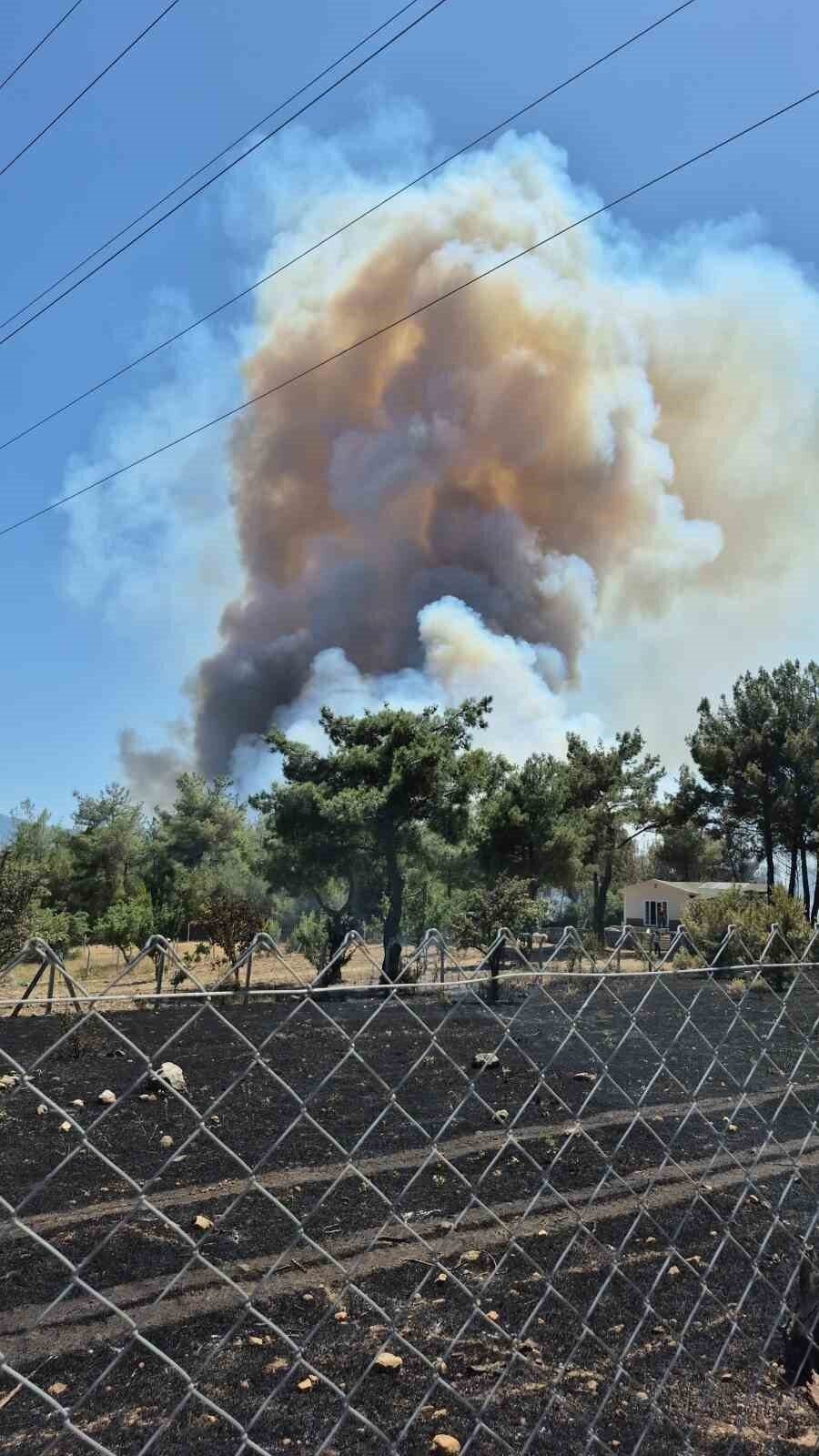 İzmir Bornova’da orman yangını İzmir Bornova’da orman yangını