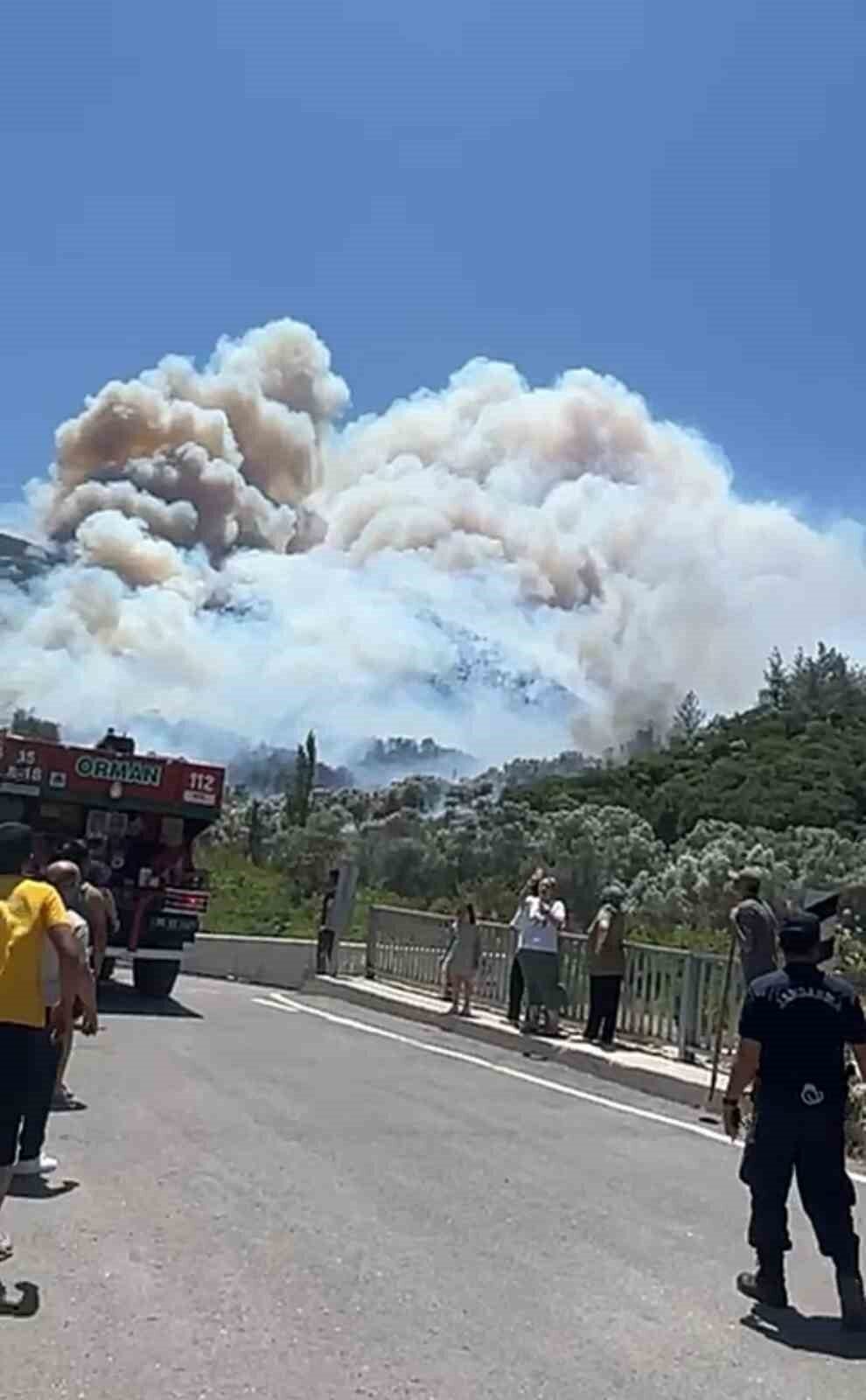 İzmir Menderes’te orman yangını