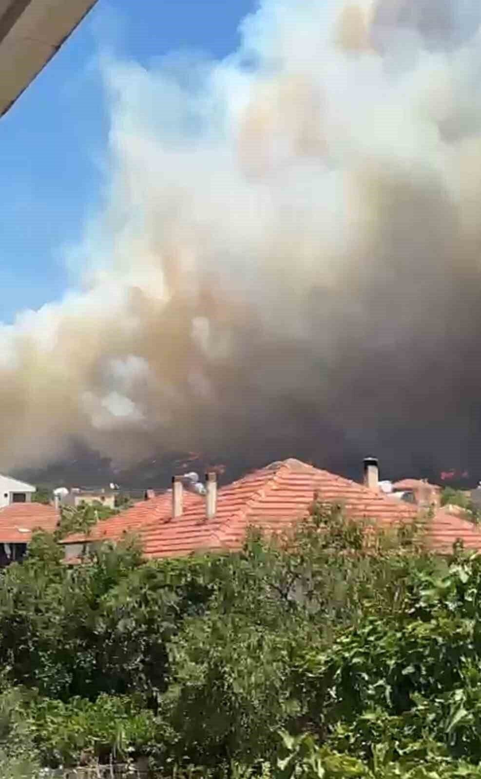 İzmir Menderes’te orman yangını