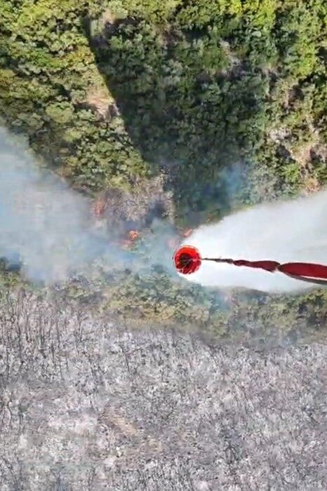 İzmir Torbalı’da orman yangınına müdahale sürüyor