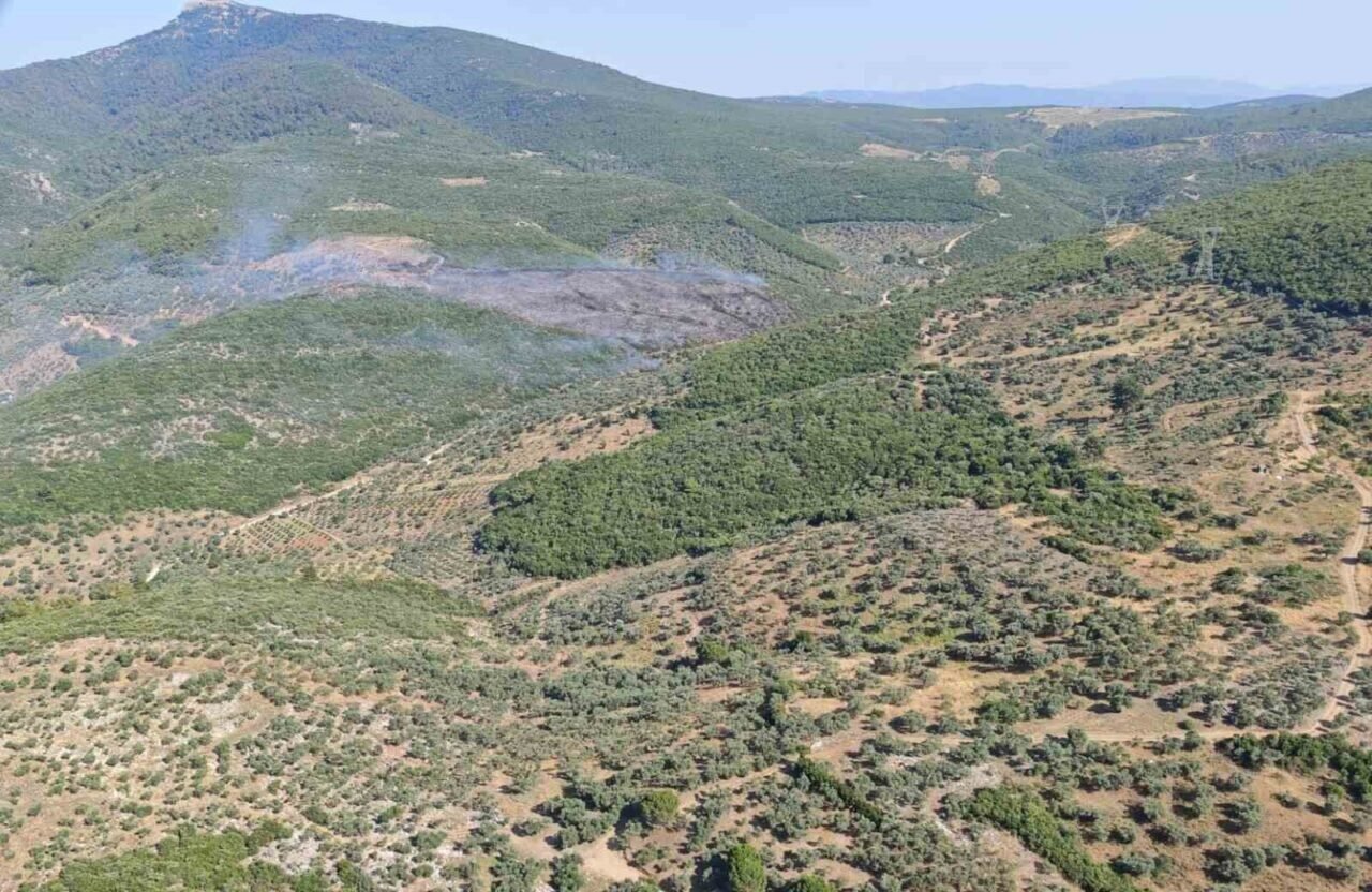 İzmir Torbalı’da orman yangınına müdahale sürüyor