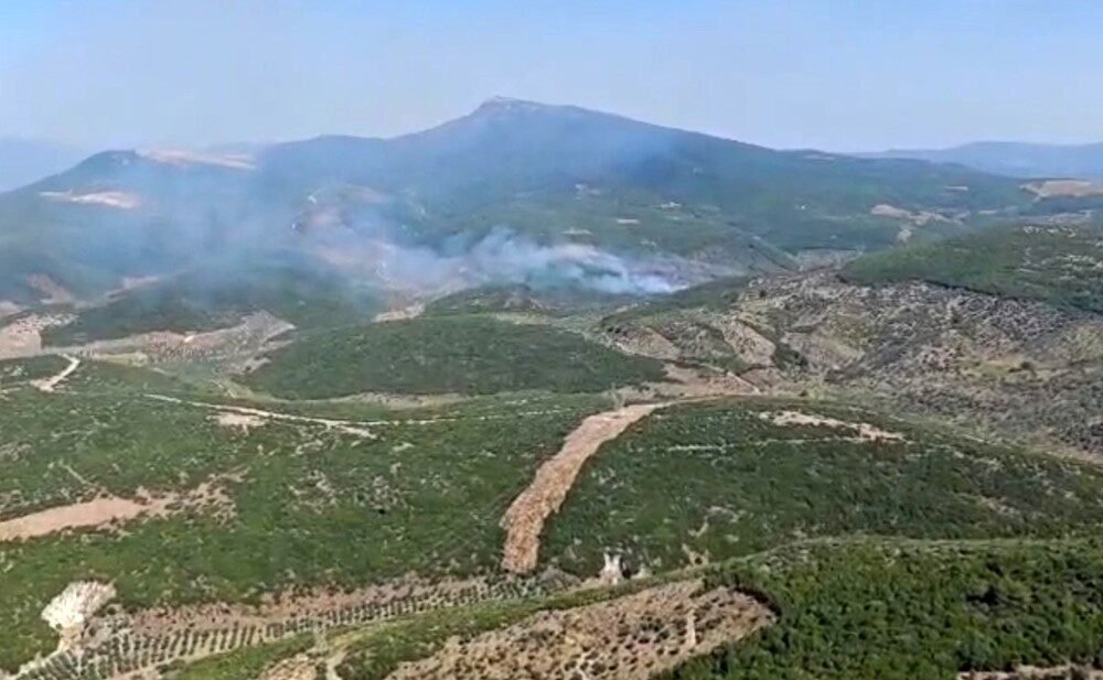 İzmir’in torbalı ilçesinde ormanlık alanda çıkan yangına havadan ve karadan